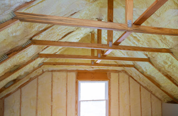 Best DIY Insulation Kits and Guidance in Tyrone, GA